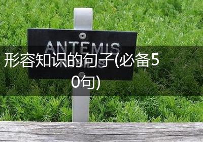 形容知识的句子(必备50句)