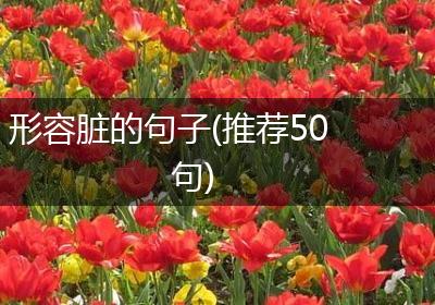 形容脏的句子(推荐50句)