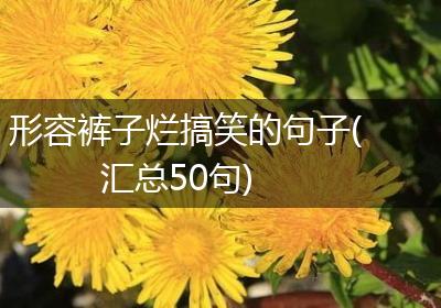 形容裤子烂搞笑的句子(汇总50句)