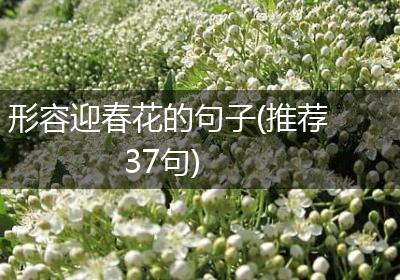 形容迎春花的句子(推荐37句)