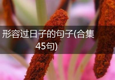 形容过日子的句子(合集45句)