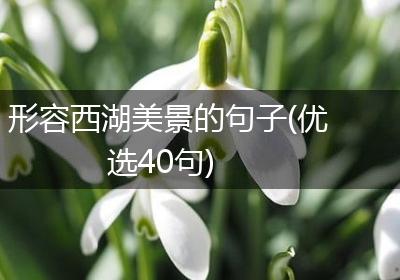 形容西湖美景的句子(优选40句)