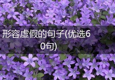 形容虚假的句子(优选60句)