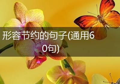 形容节约的句子(通用60句)