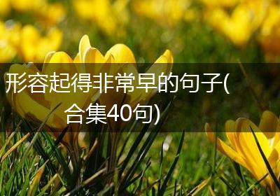 形容起得非常早的句子(合集40句)