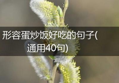 形容蛋炒饭好吃的句子(通用40句)