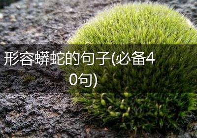 形容蟒蛇的句子(必备40句)