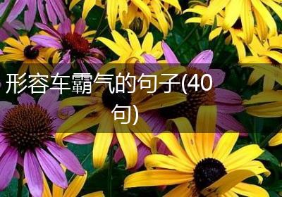 形容车霸气的句子(40句)