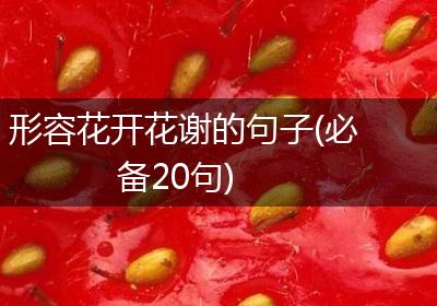 形容花开花谢的句子(必备20句)