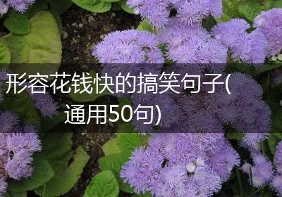 形容花钱快的搞笑句子(通用50句)