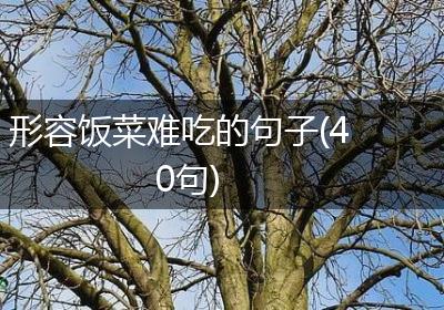 形容饭菜难吃的句子(40句)