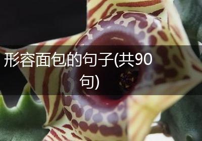 形容面包的句子(共90句)