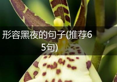 形容黑夜的句子(推荐65句)