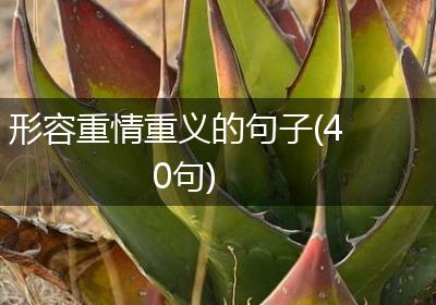 形容重情重义的句子(40句)