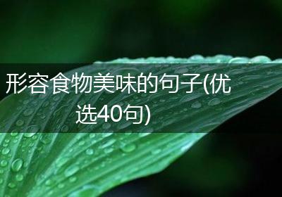 形容食物美味的句子(优选40句)