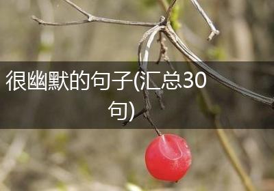 很幽默的句子(汇总30句)