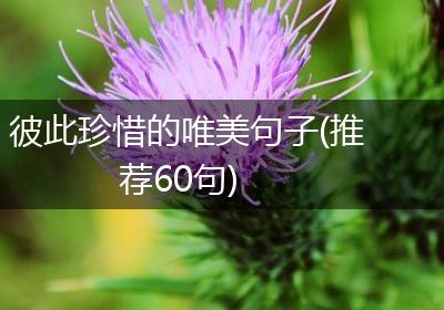 彼此珍惜的唯美句子(推荐60句)