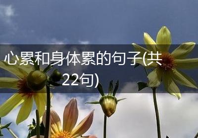 心累和身体累的句子(共22句)