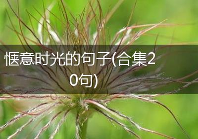 惬意时光的句子(合集20句)