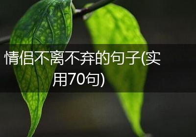 情侣不离不弃的句子(实用70句)