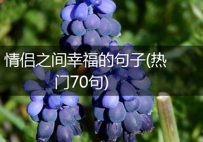 情侣之间幸福的句子(热门70句)