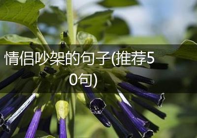 情侣吵架的句子(推荐50句)