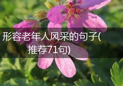 形容老年人风采的句子(推荐71句)