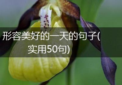 形容美好的一天的句子(实用50句)
