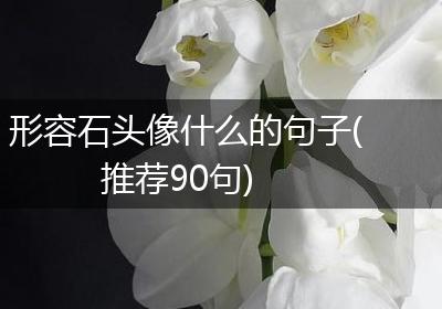 形容石头像什么的句子(推荐90句)