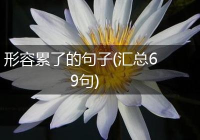 形容累了的句子(汇总69句)
