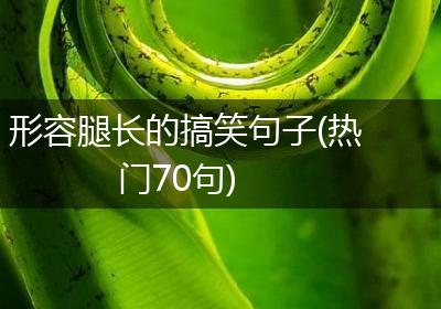 形容腿长的搞笑句子(热门70句)