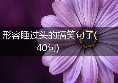 形容睡过头的搞笑句子(40句)