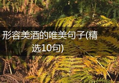 形容美酒的唯美句子(精选10句)