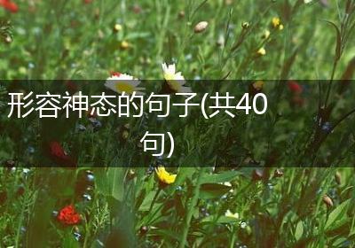 形容神态的句子(共40句)