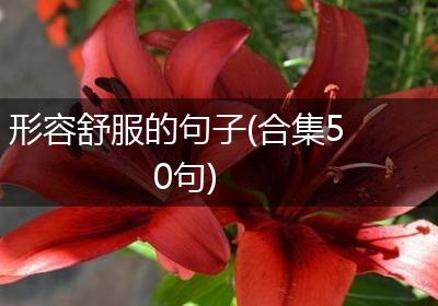 形容舒服的句子(合集50句)