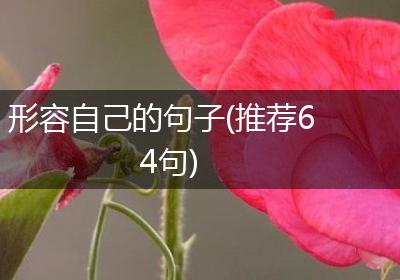 形容自己的句子(推荐64句)