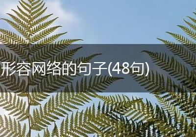 形容网络的句子(48句)