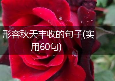 形容秋天丰收的句子(实用60句)