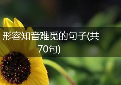 形容知音难觅的句子(共70句)