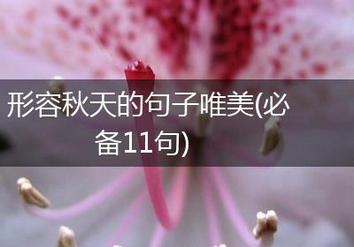 形容秋天的句子唯美(必备11句)