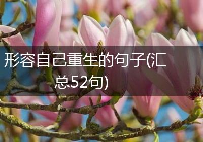 形容自己重生的句子(汇总52句)