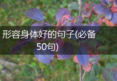 形容身体好的句子(必备50句)