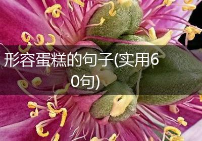 形容蛋糕的句子(实用60句)