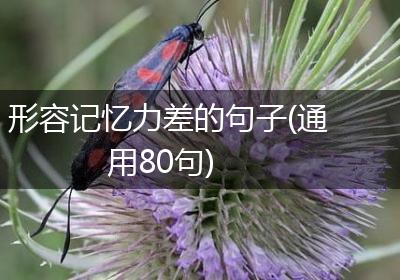 形容记忆力差的句子(通用80句)