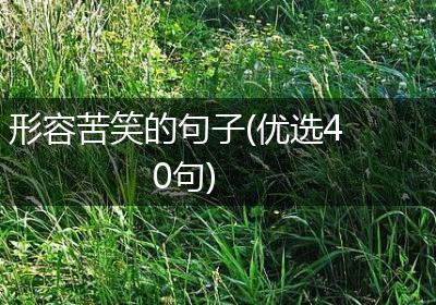 形容苦笑的句子(优选40句)