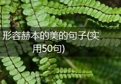 形容赫本的美的句子(实用50句)