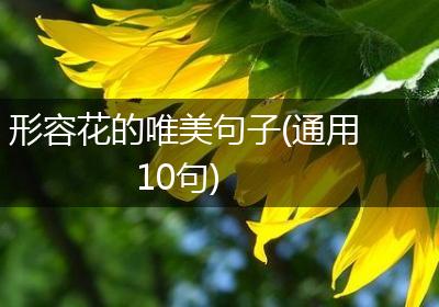 形容花的唯美句子(通用10句)