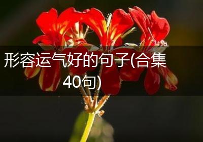 形容运气好的句子(合集40句)
