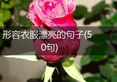 形容衣服漂亮的句子(50句)