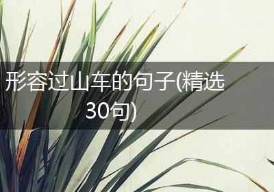 形容过山车的句子(精选30句)